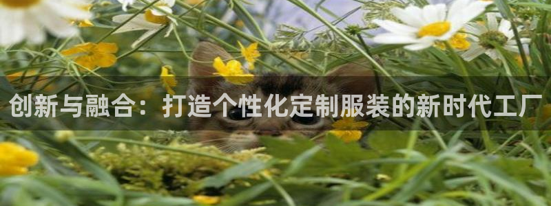 天辰娱乐60447