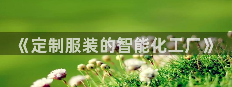 天辰娱乐股东