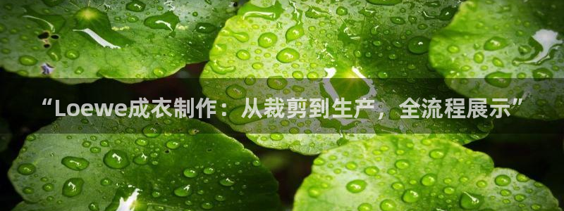 天辰娱乐