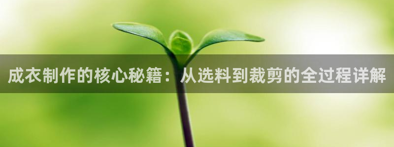 天辰娱乐557696