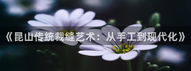 天辰娱乐885544