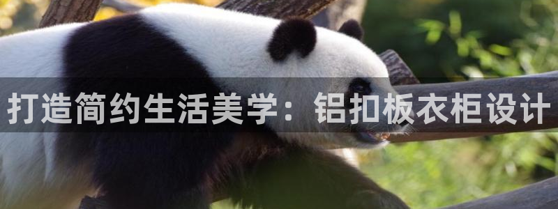 天辰娱乐新