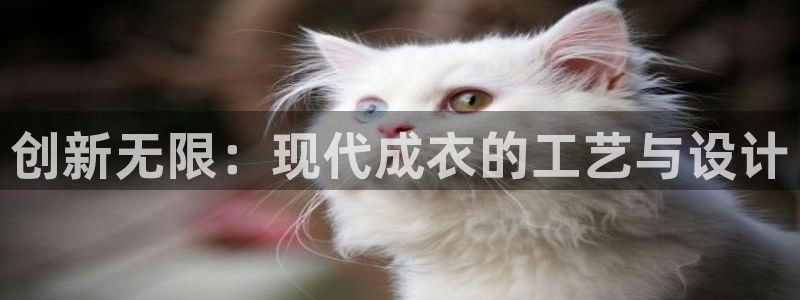 天辰娱乐10086