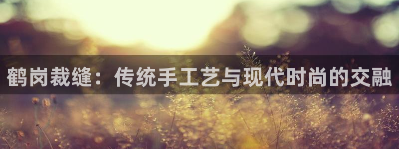 辰天娱乐用品