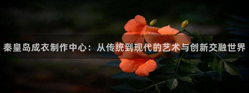 广东天辰娱乐