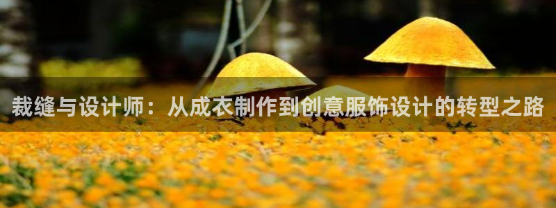 天辰娱乐官网平台下载