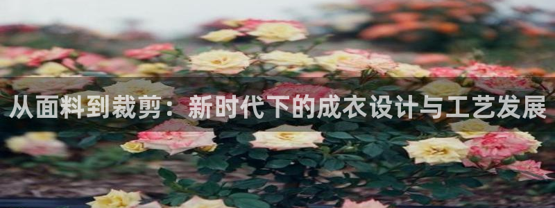 天辰娱乐电话