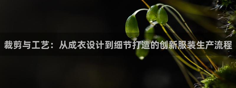 天辰娱乐维护