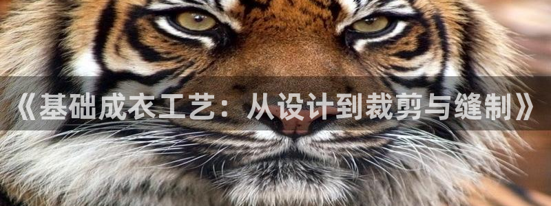 桂林天辰娱乐
