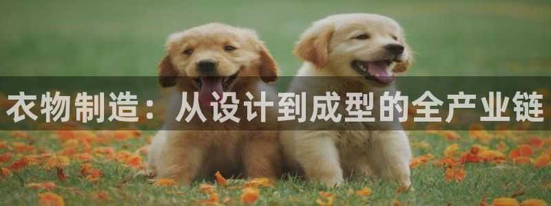 天辰娱乐登陆平台