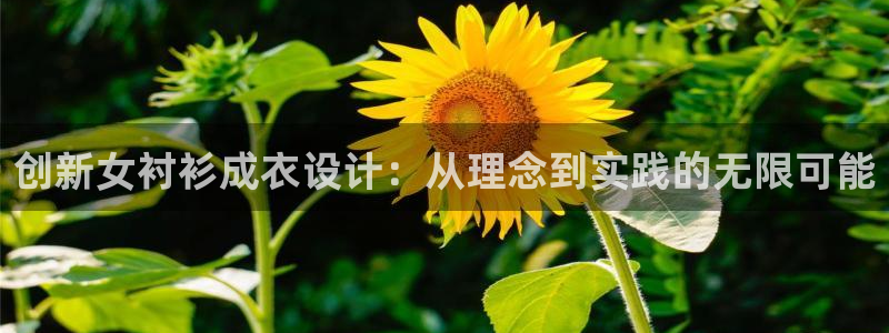 深圳天辰娱乐