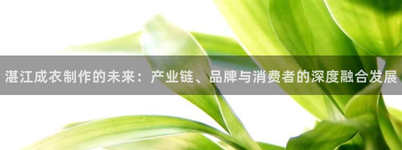 天辰天富娱乐