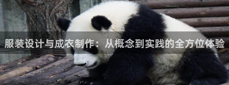 天辰娱乐主管