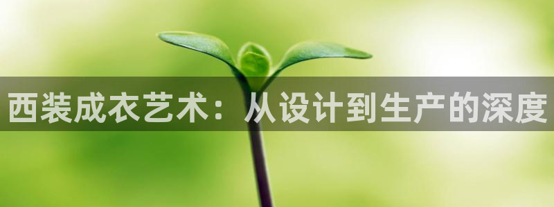天辰娱乐股东