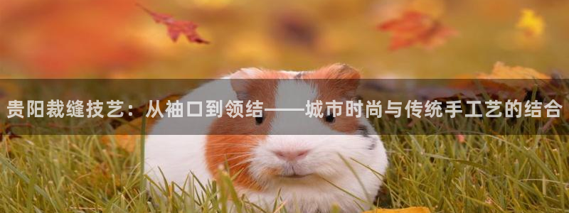 天辰娱乐网址娱乐游戏