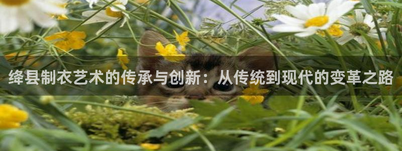 天辰娱乐平台登录账号