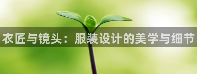 手机上怎么下载天辰娱乐