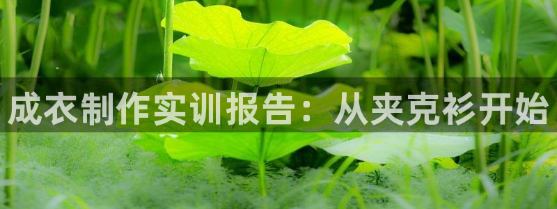 天辰娱乐 qq