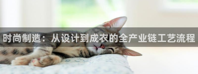 天辰辰娱乐代理