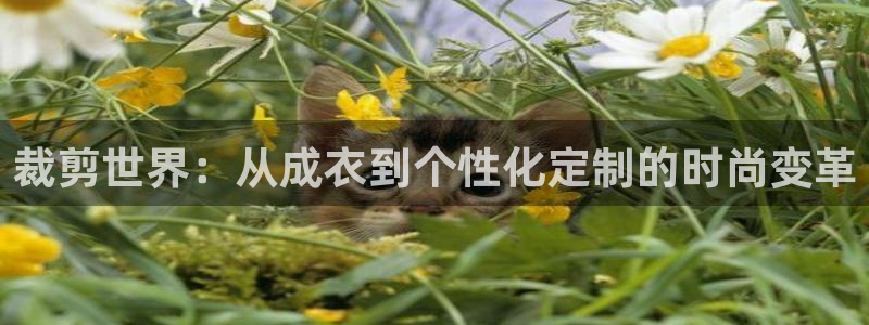 天辰线上娱乐