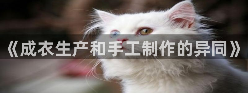 菲律宾天辰娱乐