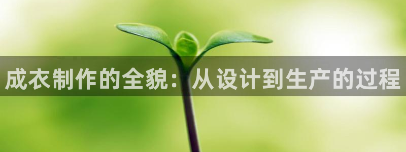 天辰娱乐登陆平台