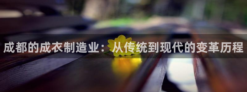 天辰娱乐登录网址