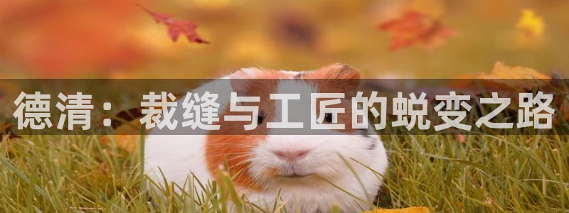 天辰 娱乐 注册