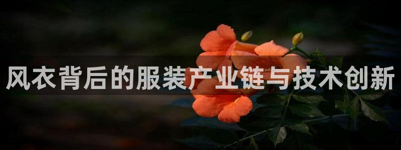 天辰娱乐游戏平台怎么样